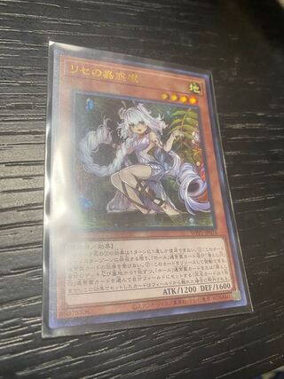 Traptrix Genlisea Ultra Rare