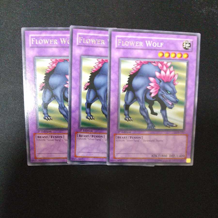 フラワー・ウルフ レア 英語版　一点追加