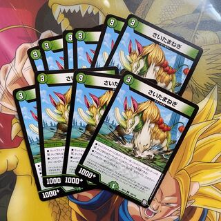 chive (edible plant, Allium schoenoprasum)