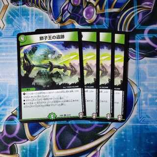 Ruins of the Lion King U 4-Piece Set