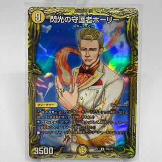 Flash guardian holly 20th B