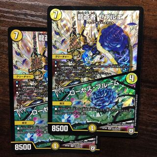 Zebruhe, the dragon blue one｜Roses Snubbullum