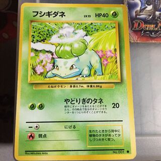 セット割引  ポケモン  フシギダネ 旧裏