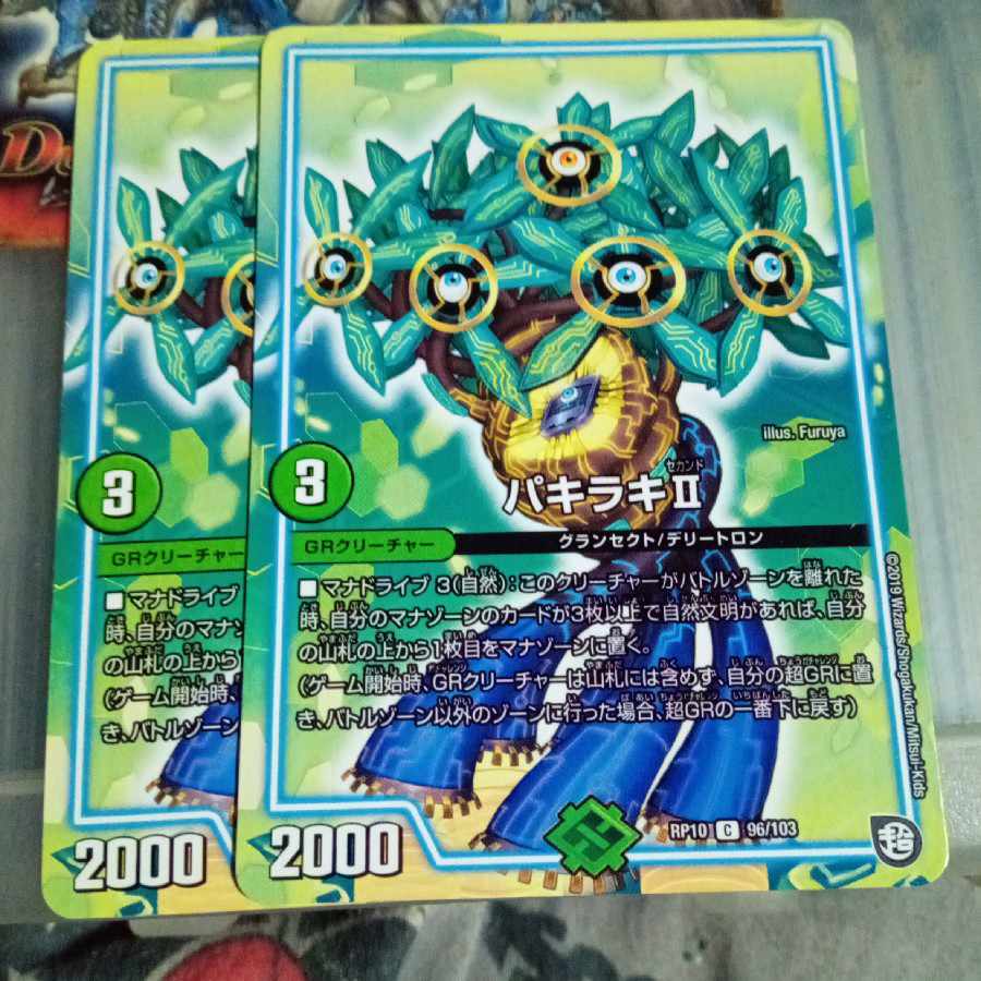 Set Discount Pachiraki II C 96/103 Set of 2