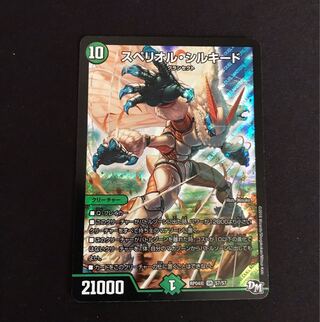 Spe Riolu, Silk Road