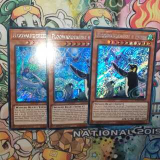 英語 EU版 ふわんだりぃずセット