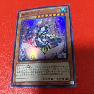 Talaya, Princess of Cherry Blossoms