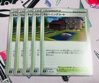 Training Court, set of 5, with white cover