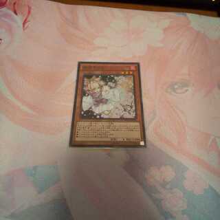 灰流うらら スーパー