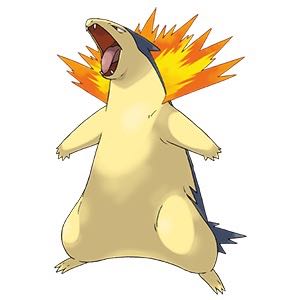 Dedicated to Mr. skn Favorite Pokémon Olypa Typhlosion