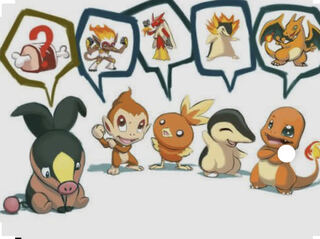 Cyndaquil for Mr. Subaru