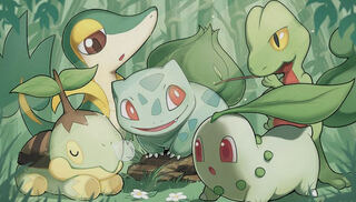 Dedicated to Ms. syozan Snivy