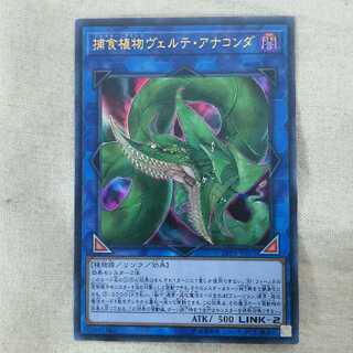 捕食植物ヴェルテ・アナコンダ  UR LVP3-JP071