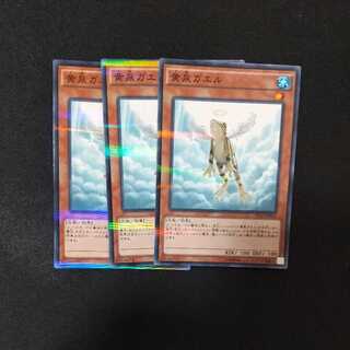 Treeborn Frog Parallel Normal