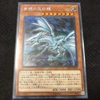 【SE】青眼の亜白龍 20CP-JPF01