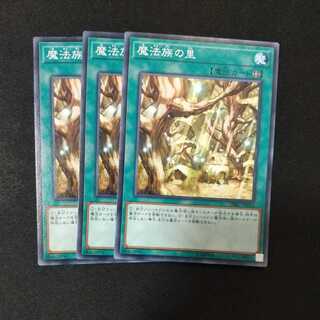 Secret Village of the Spellcasters Normal