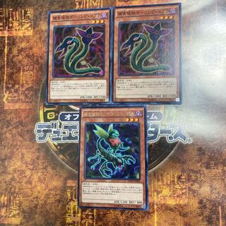 Yu-Gi-Oh *Predaplant Ophrys Scorpio, Darling Cobra *Three Piece Set*.