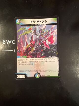 Natural disaster Dedham