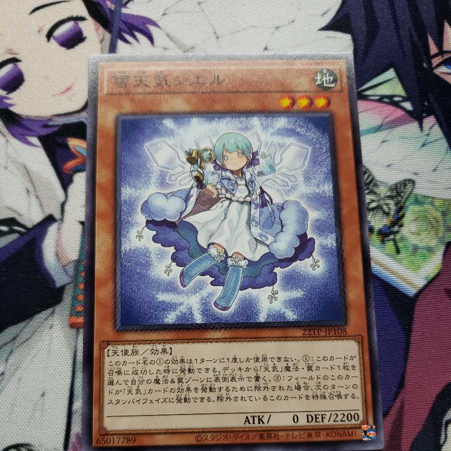 The Weather Painter Snow