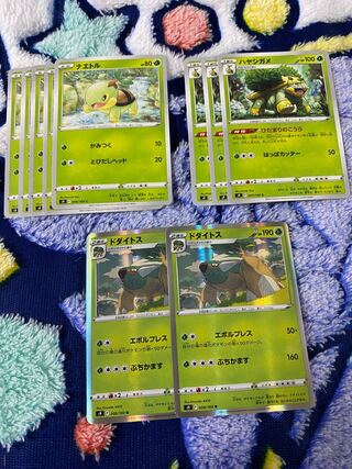 ナエトル　ハヤシガメ　ドダイトス