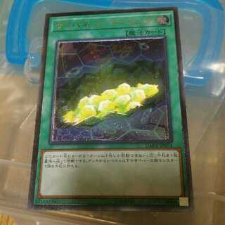 サイバネット・マイニング UL DANE-JP051