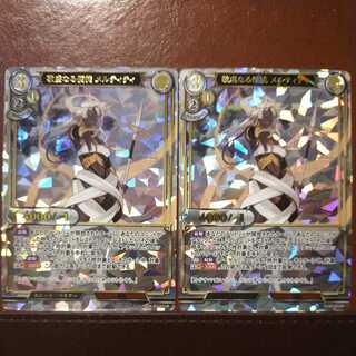 AG041 Set Discount Melty the Pious Apostle