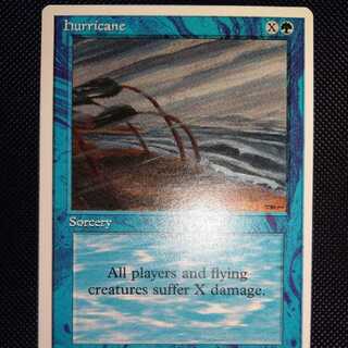 hurricane Hurricane summer summer SnubbullHurricane