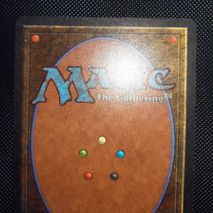 hurricane Hurricane summer summer SnubbullHurricane