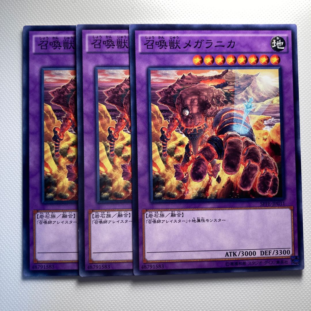 4834 Invoked Magellanica Normal JP031