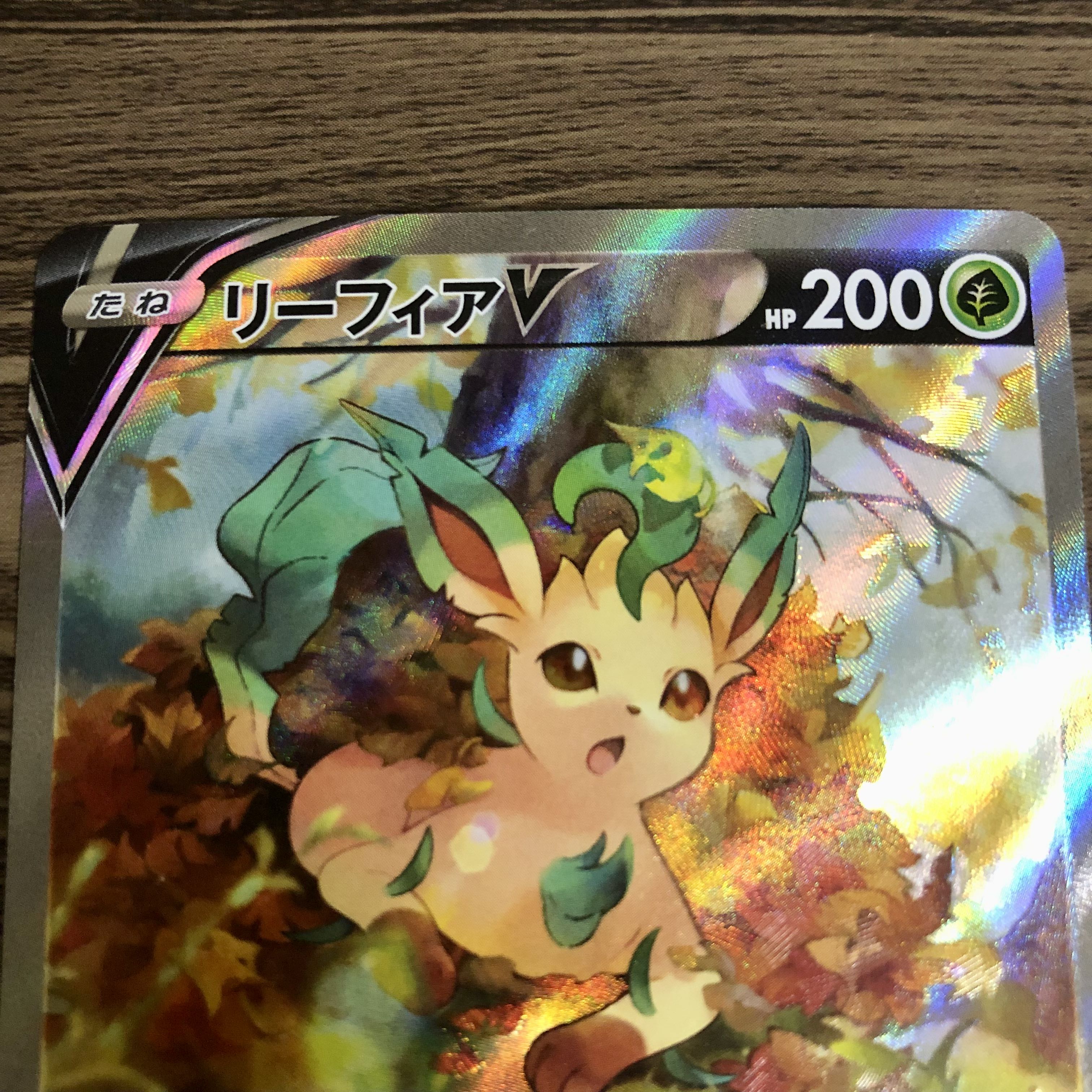 LeafeonV SR