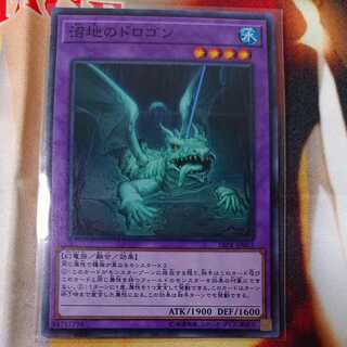 Mudragon of the Swamp Normal