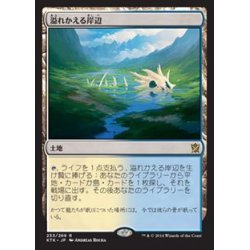 [EX]Flooded Strand/Flooded Strand 《Japanese》 [KTK].