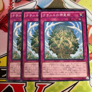 Naturia Sacred Tree Normal 3pcs