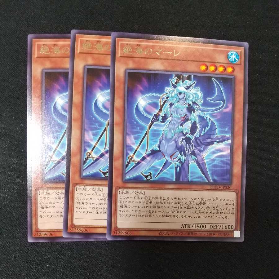 Exquisite Umi's Mare Rare