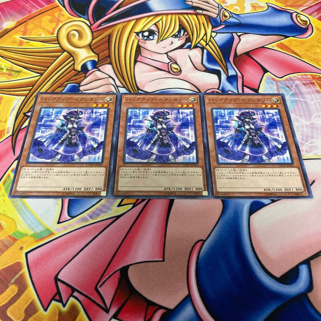 バックアップ・セクレタリー