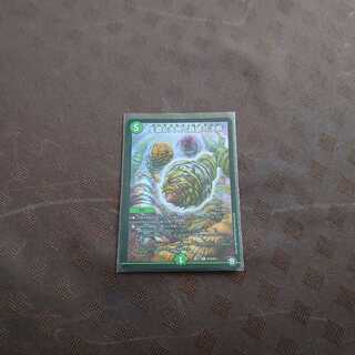 パーフェクトネイチャー