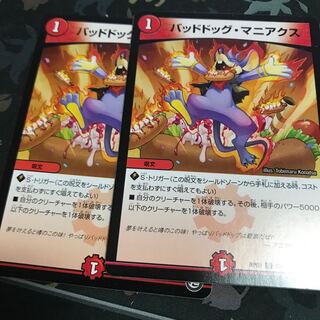 バッドドッグ・マニアクス 2枚