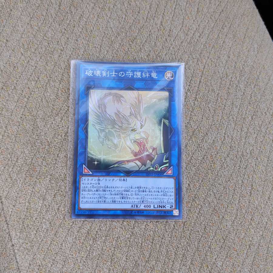 Protector Whelp of the Destruction Swordsman