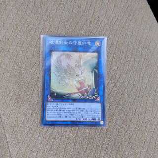 Protector Whelp of the Destruction Swordsman