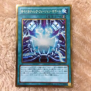 Cybernetic Fusion Support