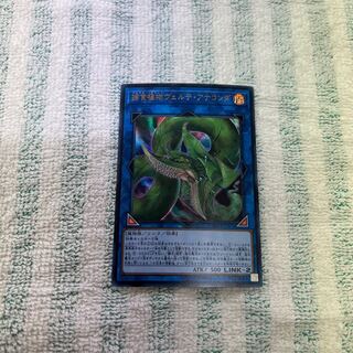 捕食植物ヴェルテ・アナコンダ ウルトラレア