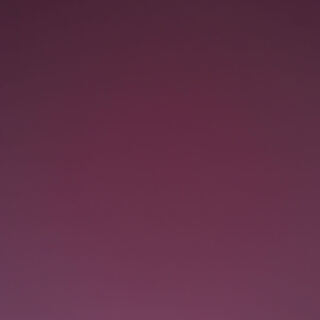 For Human Life Losers Only