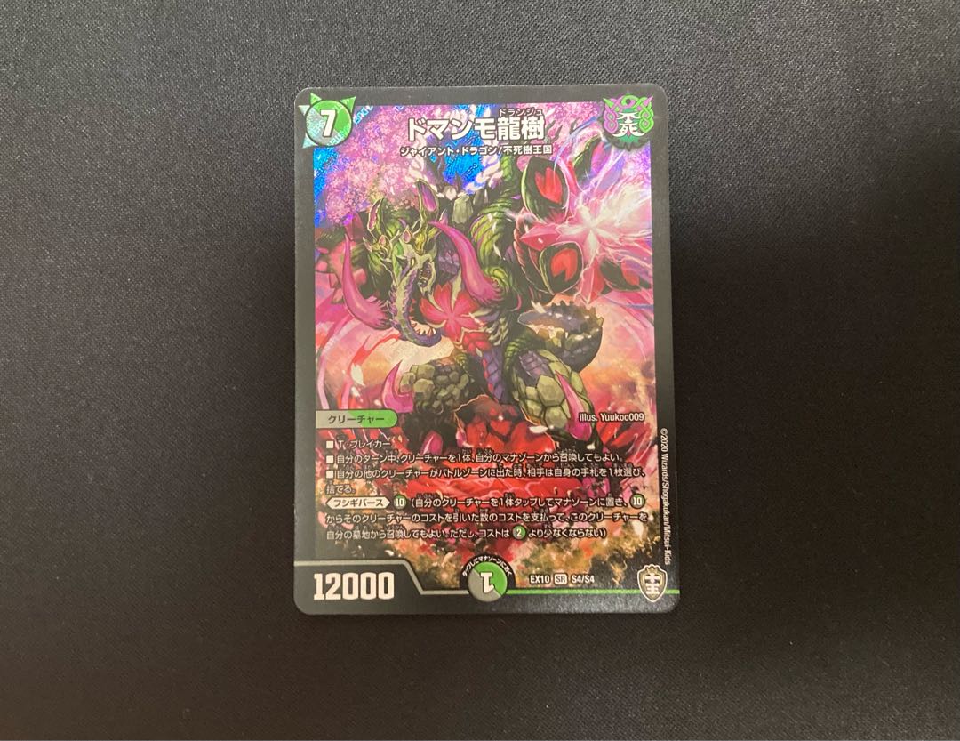 1 domammo dragon tree