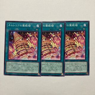 Nemurelia's Sleeping Princess Tower, Normal JP059