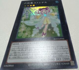 Rikka Queen Strenna Super Rare