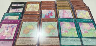 Melfy's Collective Sale