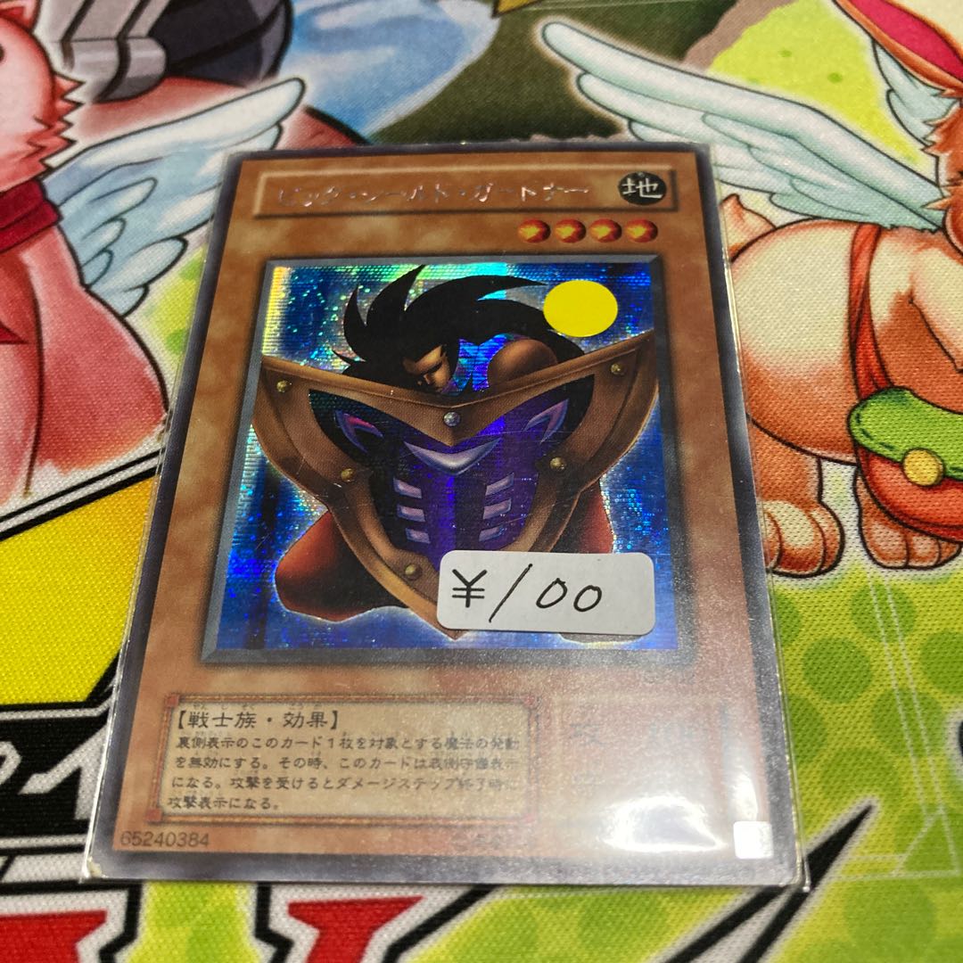 Big Shield Gardna Secret Rare 1 copy special price 2 terms