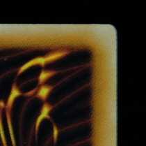 Yu-Gi-Oh! Black Rose Dragon Ultimate Rare Relief Almost Beautiful