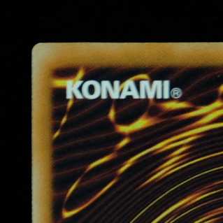 Yu-Gi-Oh! Black Rose Dragon Ultimate Rare Relief Almost Beautiful