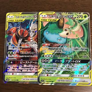 フシギバナ&ツタージャGX フェローチェ&マッシブーンGX セット
